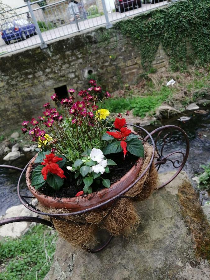 Urlaub Mit Charme In Der Kleinsten Stadt Der Pfalz. Obermoschel Exterior foto